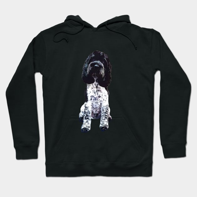 Cockapoo Cockerpoo Blue Roan Hoodie by ElegantCat